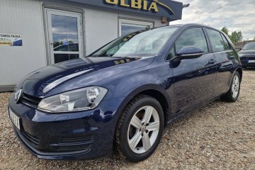 DSG 1.4Tsi Serwisowany Hatchback